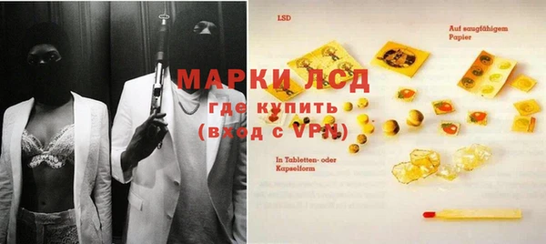 индика Алексин