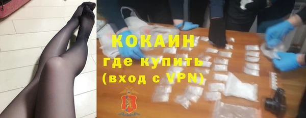 индика Алексин