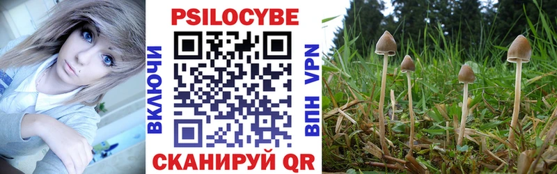 купить закладку  blacksprut маркетплейс  Псилоцибиновые грибы MAGIC MUSHROOMS  даркнет формула  Анива 
